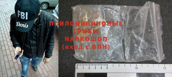 гашик Алексеевка