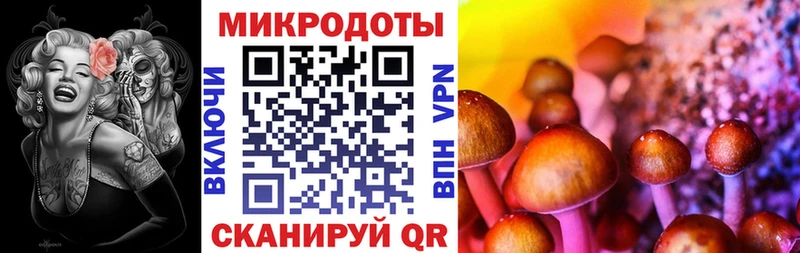 Псилоцибиновые грибы мицелий  KRAKEN сайт  Алексеевка 
